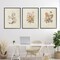 Stupell Industries Neutral Bouquet Studies 3pc Framed Giclee Set, design by Dan Meneely